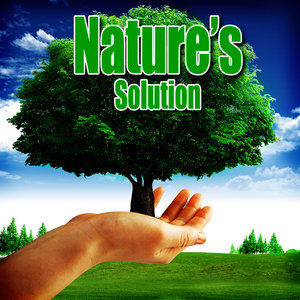 Nature's Solution: Piano Music and Nature Sounds