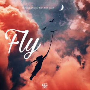 Fly (Remix)