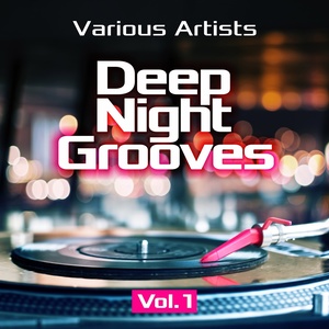 Deep Night Grooves, Vol. 1