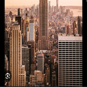 Foreign Anuh Bed a Rose