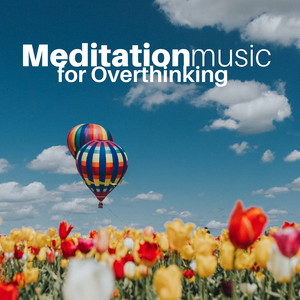 Meditation Music for Overthinking - 20 Songs to Release Negative Energy and Put You to Sleep