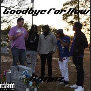 Goodbye For Now (Explicit)