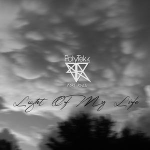 Light Of My Life feat. Polytekk