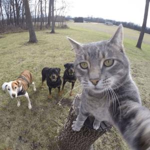 FAKE FACE (Explicit)