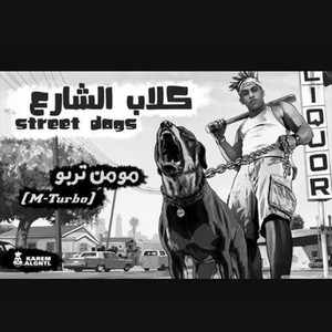 كلاب الشارع