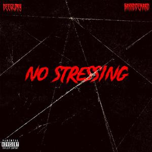 NO STRESSING (feat. Bakkdoenard) [Explicit]