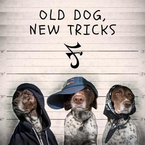 Old Dog, New Tricks (feat. Tek Luciano & Itz Midnite) [Explicit]