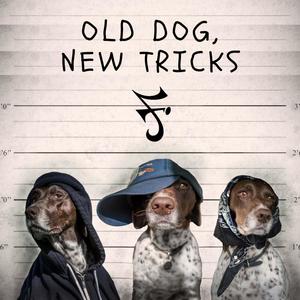 Old Dog, New Tricks(feat. Tek Luciano & Itz Midnite) (Explicit)