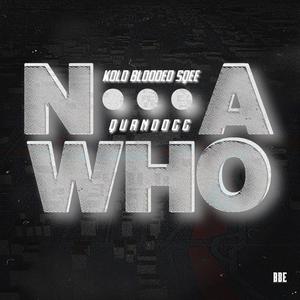 Nigga Who (feat. QuanDogg)