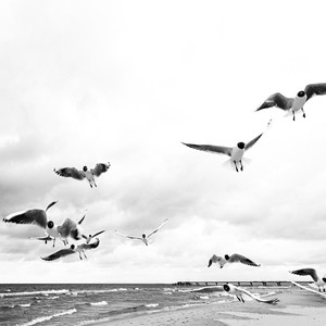 Quiero (Pophop Remix)