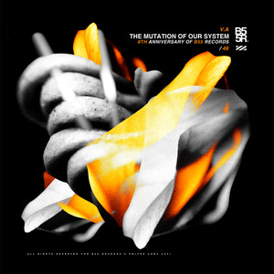 The Mutation Of Our System / 8th Anniversary / Various Artists