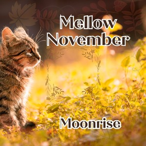 Mellow November