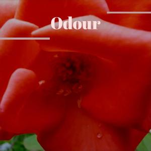 Odour