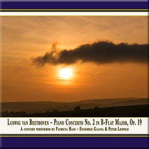 Piano Concerto No. 2 in B-Flat Major, Op. 19 (arr. V. Lachner for piano and string ensemble) - III. Rondo: Allegro molto