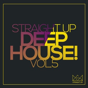 Don't Ever Stop feat Robin Vane (Reezer (BR) Remix)