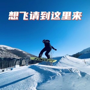 想飞请到这里来