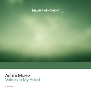 Voices In My Head