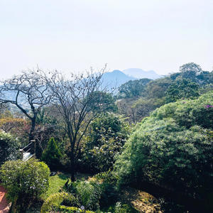 Always (feat. Shammah Vocals)