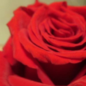 M.O.D. (Remastered 2024|Explicit)