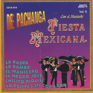 El Son De La Negra