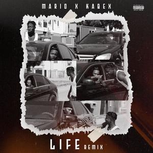 Life (feat. Kabex) [remix]