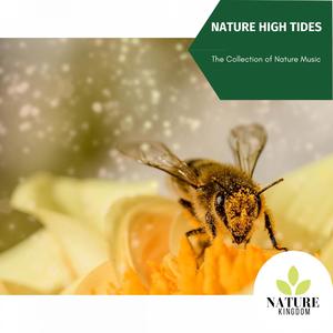 Nature High Tides - The Collection of Nature Music