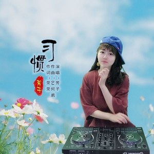 习惯 (DJ何鹏版)