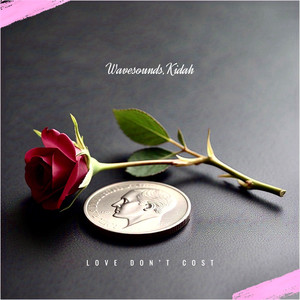 Love Don't Cost
