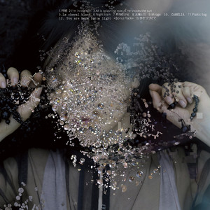 そのほかに (ソノホカニ)