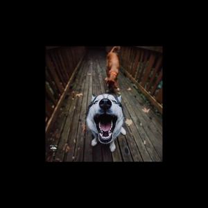 Just All For YoungC