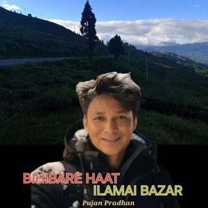 Bihibare Haat Ilamai Bazar