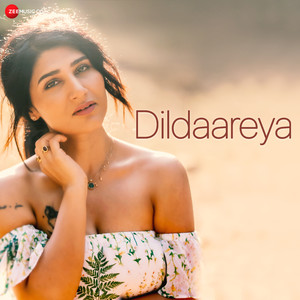 Dildaareya