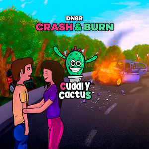 Crash And Burn