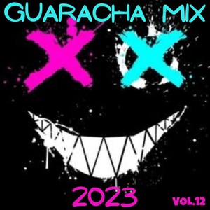 GUARACHA MIX 2023 VOL.12