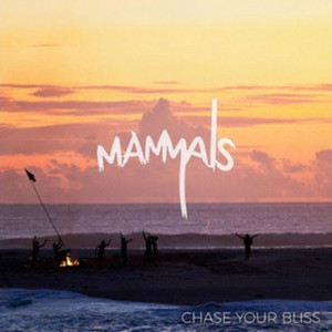 Chase Your Bliss (Explicit)