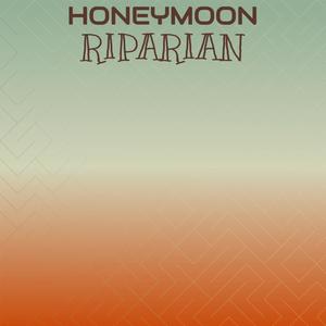 Honeymoon Riparian