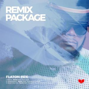 Better Than This (DJ Flaton Fox Afro Tech)