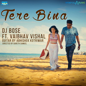 Tere Bina - Single