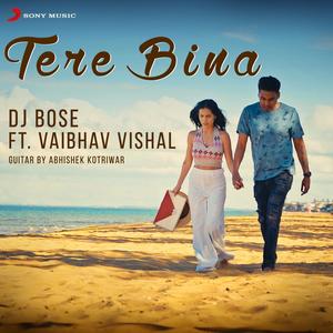 Tere Bina