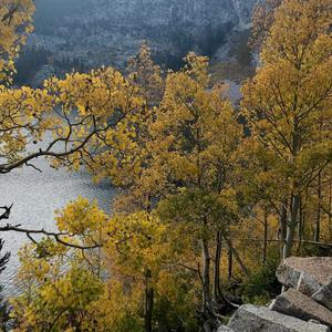 Gold (feat. Dr. Duality) (Explicit)