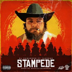 Stampede (feat. Yakeebo) (Explicit)