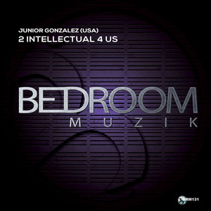 2 Intellectual 4 Us (Original Mix)