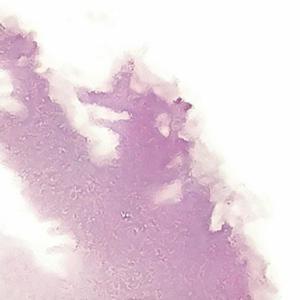 touch your soul (feat. AIO)