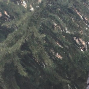 西安西安西安西安