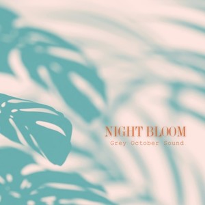 NIGHT BLOOM