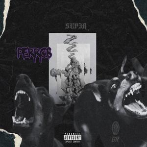 PERROS (Explicit)