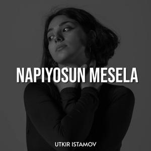 NAPIYOSUN MESELA (Violin)