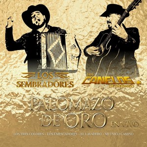 Mi Único Camino (En Vivo)