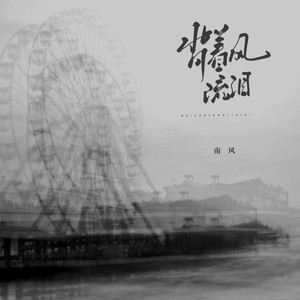 南风 - 背着风流泪