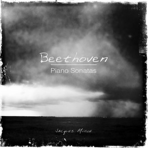 Piano Sonata No. 5 in C Minor, Op. 10, No. 1 - I. Allegro molto e con brio